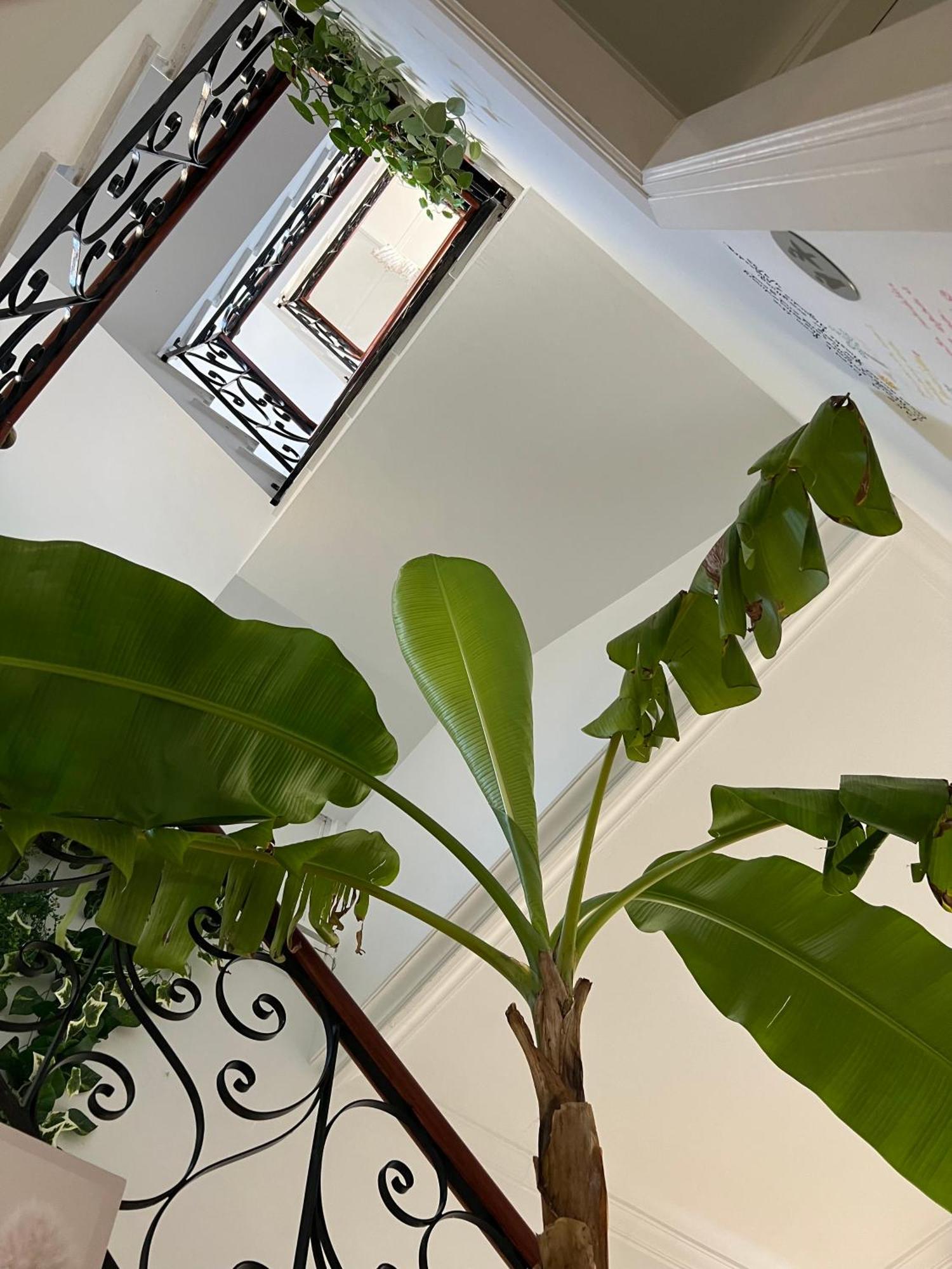 Balear Hotel Ciutadella  Ngoại thất bức ảnh