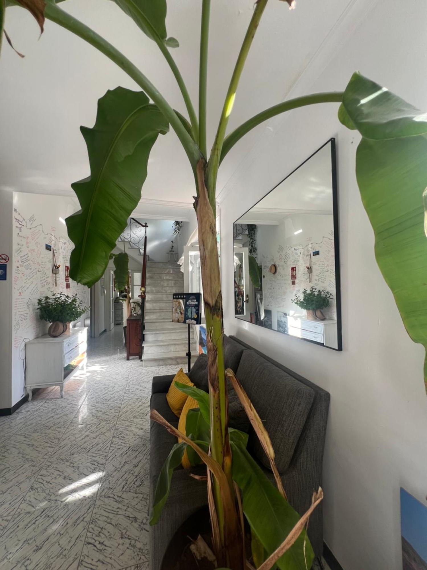 Balear Hotel Ciutadella  Ngoại thất bức ảnh